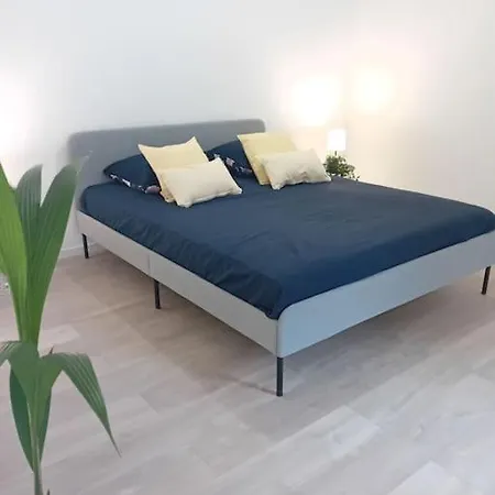 Petit Avec Terrasse *